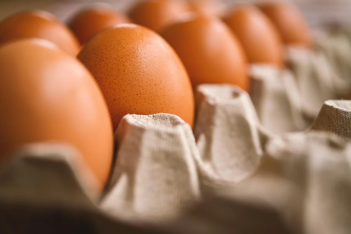 Température et cuisson : la minute qui change tout