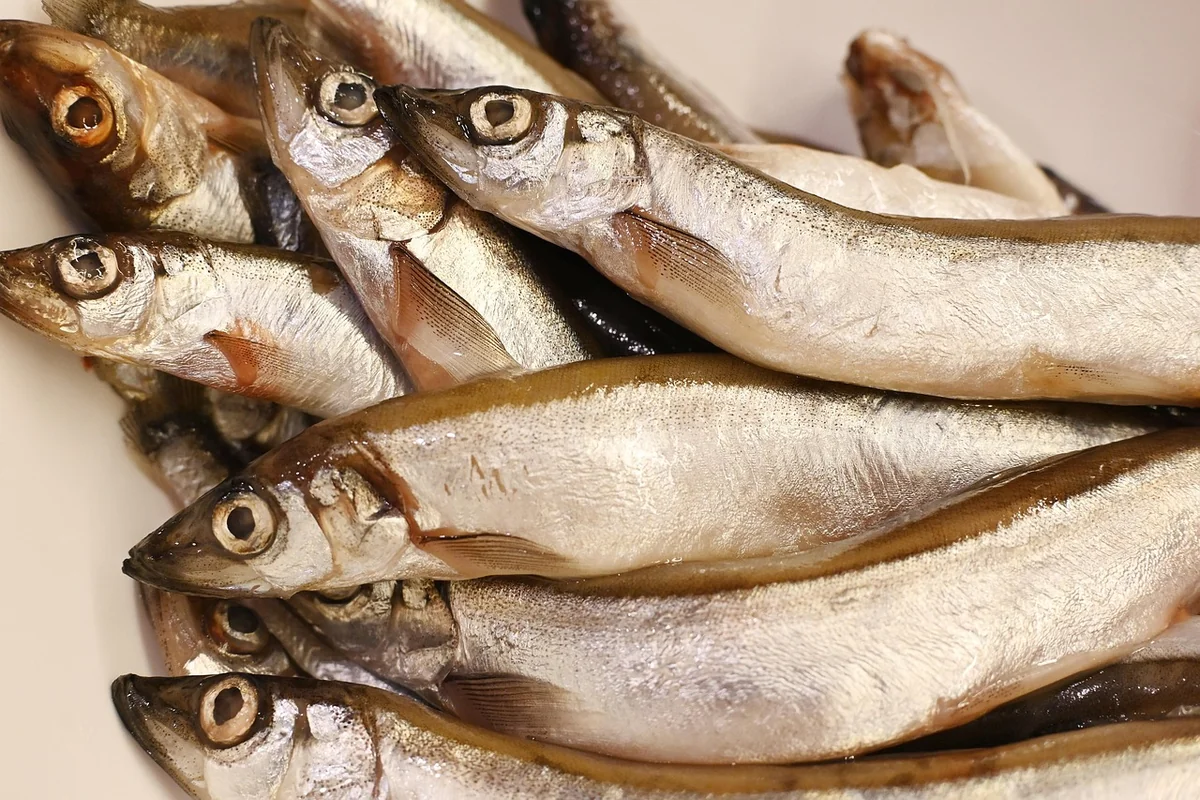 Le choix du poisson : la règle que personne ne vous dit