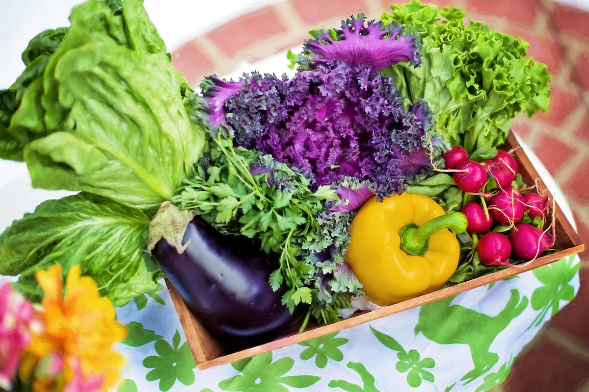 Quels légumes ne se transforment pas en purée